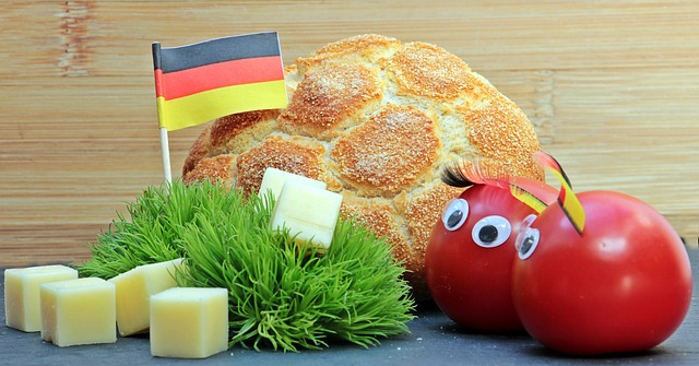 的主要原因 的主要原因