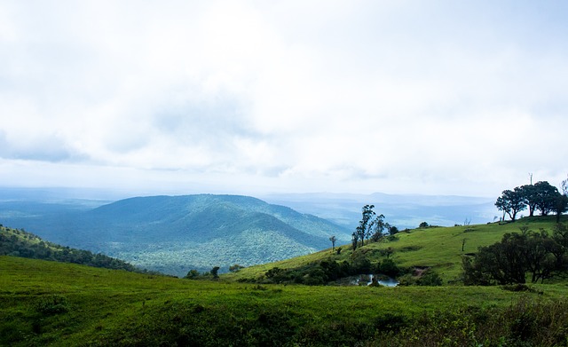 样交出了一 样交出了一