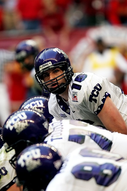 经验和活力 经验和活力