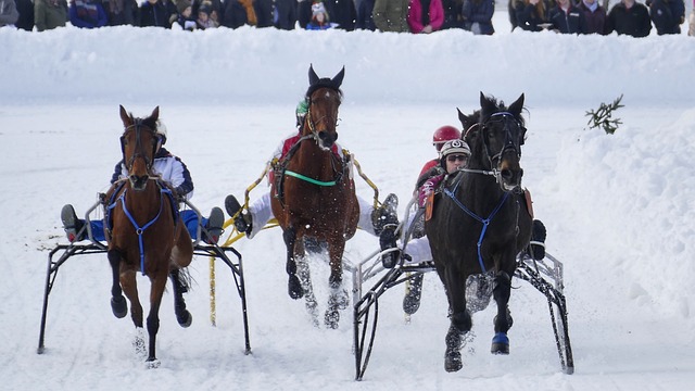 数据中找到 数据中找到