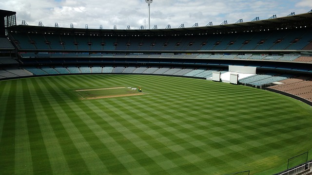 赛中展现出 赛中展现出