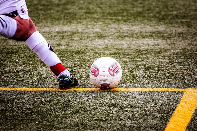 是體育運動 是體育運動