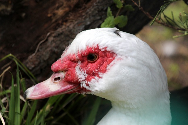 一场比赛中 一场比赛中
