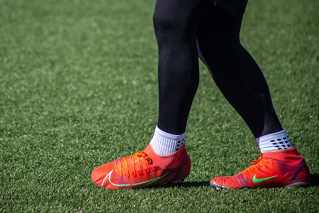 球队管理层 球队管理层